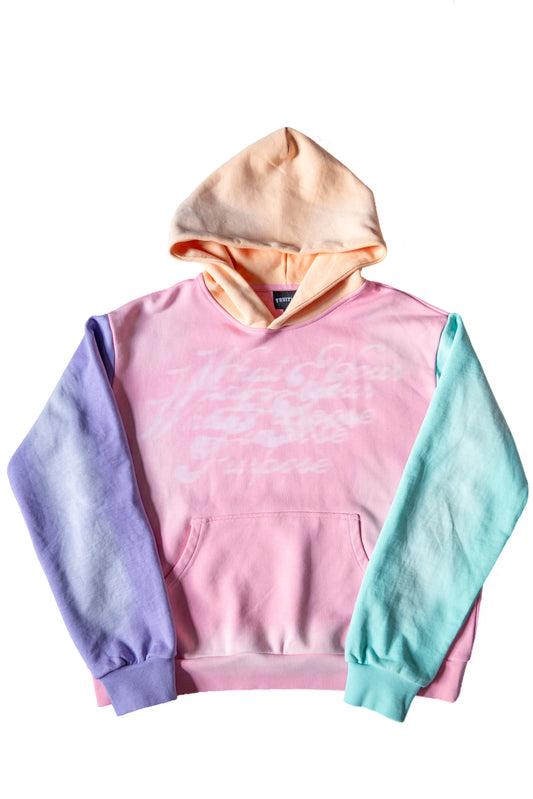 Pastel "What's Your Purpose?" Hoodie